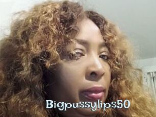 bigpussylips50 Hairy old snatch