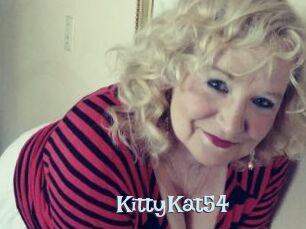 KittyKat54 Hairy old snatch
