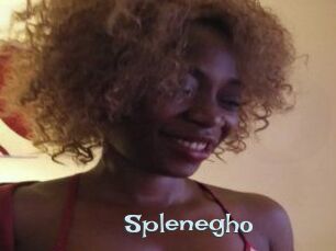 Splenegho Hairy old snatch
