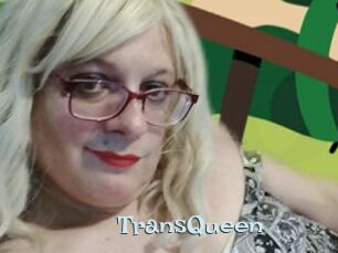 TransQueen Hairy old snatch