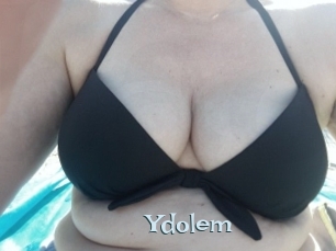 Ydolem Hairy old snatch